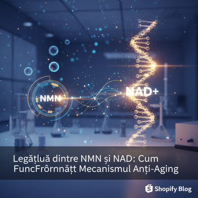 Legătura dintre NMN și NAD: Cum Funcționează Mecanismul Anti-Aging
