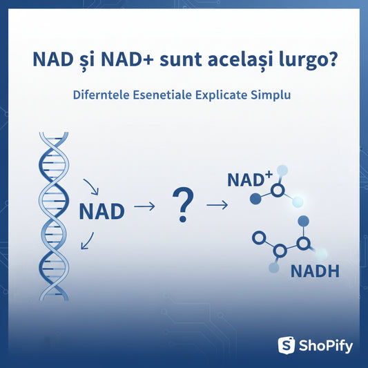 NAD și NAD+ sunt același lucru? Diferențele esențiale explicate simplu