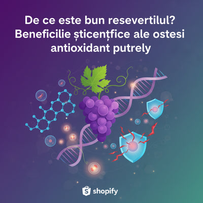 De ce este bun resveratrolul? Beneficiile științifice ale acestui antioxidant puternic