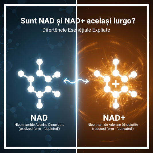 Sunt NAD și NAD+ același lucru? Diferențele esențiale explicate