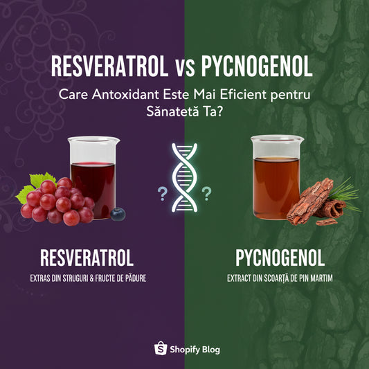 Resveratrol vs Pycnogenol: Care Antioxidant Este Mai Eficient pentru Sănătatea Ta?