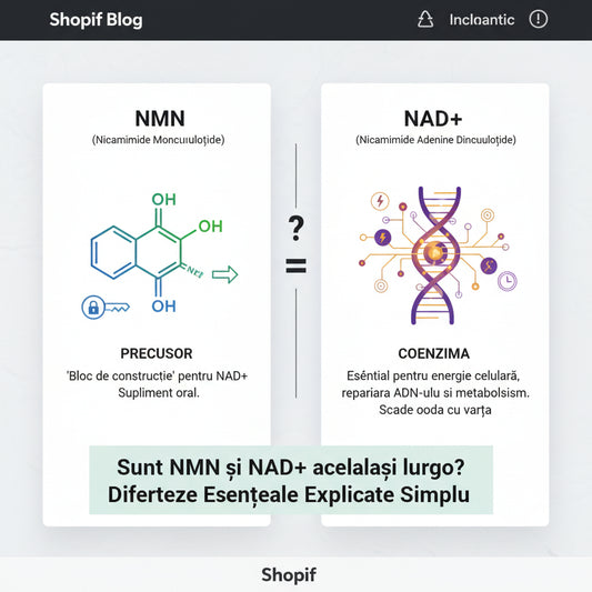 Sunt NMN și NAD același lucru? Diferențele esențiale explicate simplu