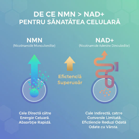 De ce NMN este considerat mai eficient decât NAD pentru sănătatea celulară