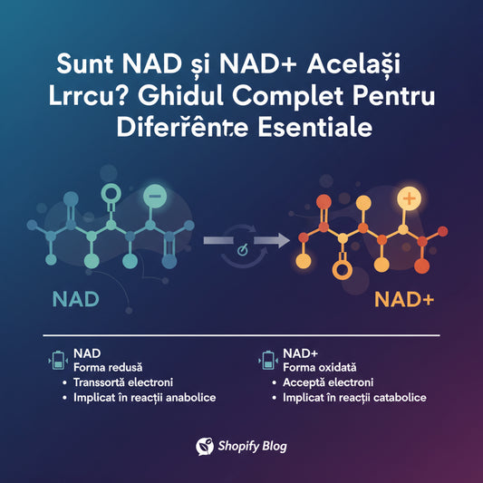 Sunt NAD și NAD+ Același Lucru? Ghidul Complet Pentru Diferențele Esențiale