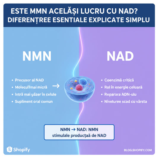 Este NMN același lucru cu NAD? Diferențele esențiale explicate simplu