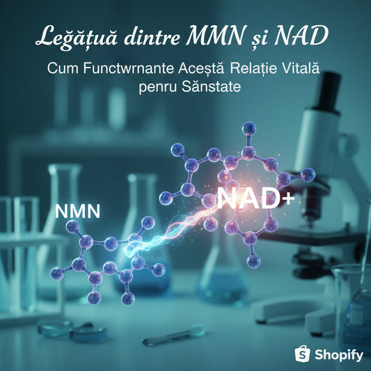 Legătura dintre NMN și NAD: Cum Funcționează Această Relație Vitală pentru Sănătate