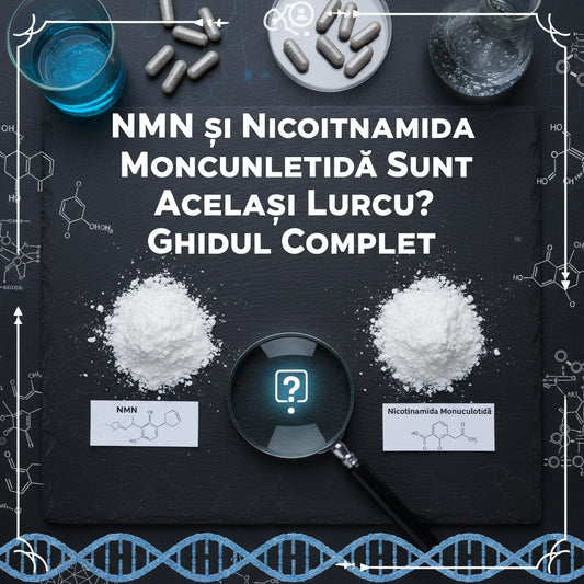 NMN și Nicotinamida Mononucleotidă Sunt Același Lucru? Ghidul Complet