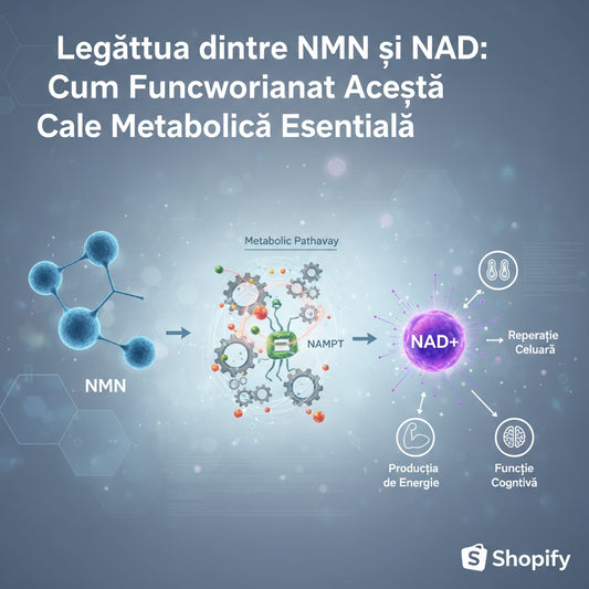 Legătura dintre NMN și NAD: Cum Funcționează Această Cale Metabolică Esențială