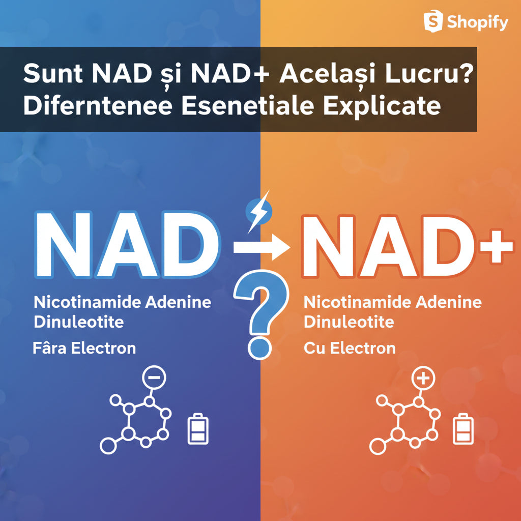 Sunt NAD și NAD+ Același Lucru? Diferențele Esențiale Explicate