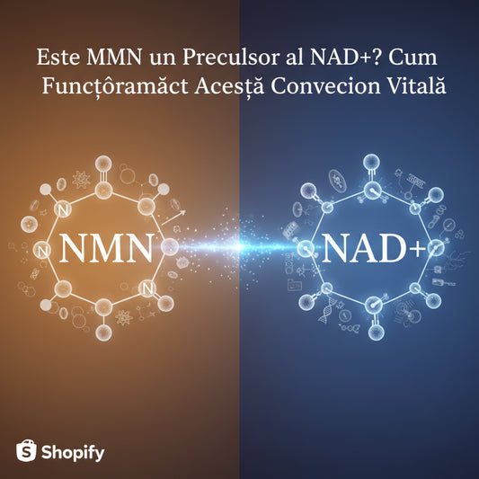 Este NMN un Precursor al NAD+? Cum Funcționează Această Conexiune Vitală