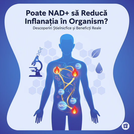 Poate NAD+ să Reducă Inflamația în Organism? Descoperiri Științifice și Beneficii Reale