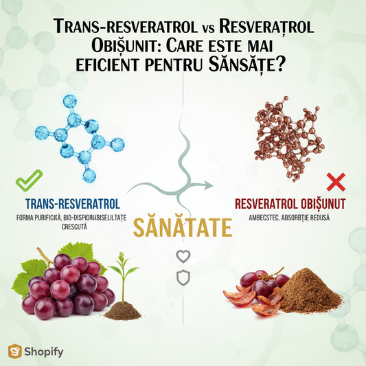 Trans-Resveratrol vs Resveratrol Obișnuit: Care Este Mai Eficient pentru Sănătate?