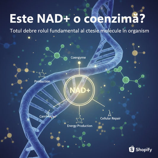 Este NAD+ o coenzimare? Totul despre rolul fundamental al acestei molecule în organism
