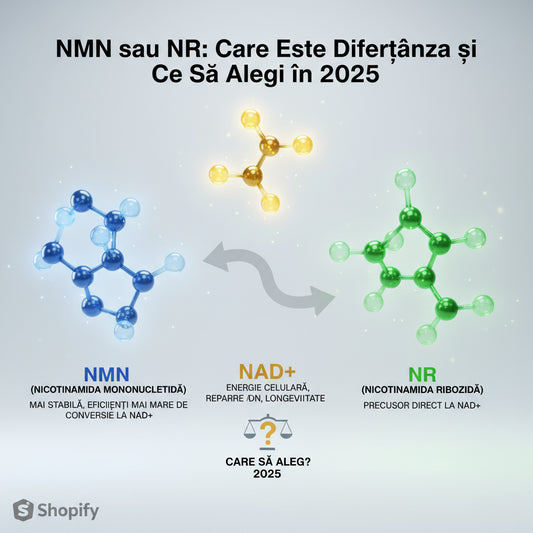 NMN sau NR (Nicotinamida Ribozidă): Care Este Diferența și Ce Să Alegi în 2025