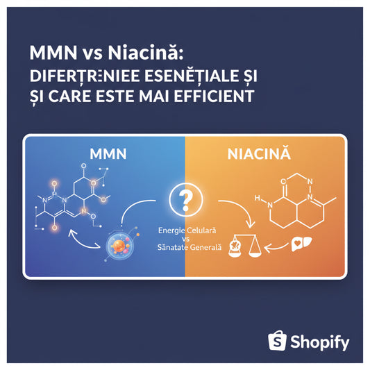 NMN vs Niacină: Diferențele Esențiale și Care Este Mai Eficient