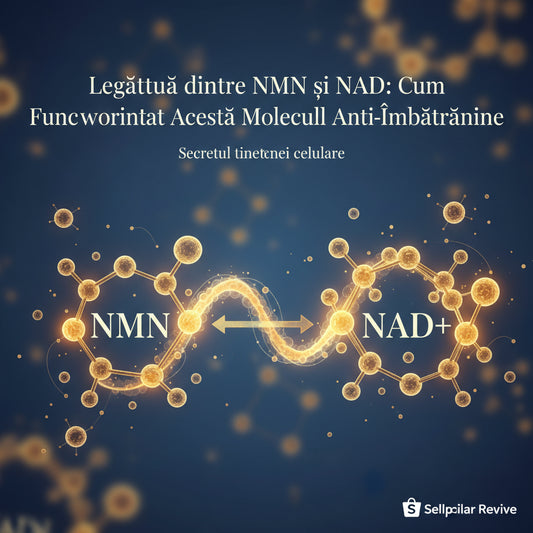 Legătura dintre NMN și NAD: Cum Funcționează Această Moleculă Anti-Îmbătrânire