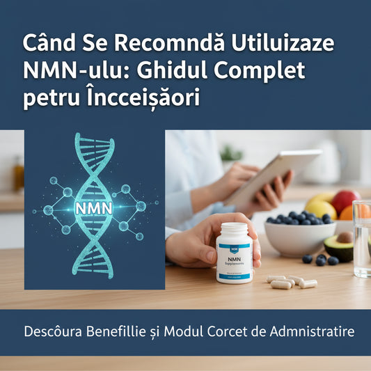 Când Se Recomandă Utilizarea NMN-ului: Ghidul Complet pentru Începători