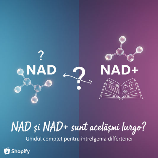 NAD și NAD+ sunt același lucru? Ghidul complet pentru înțelegerea diferenței