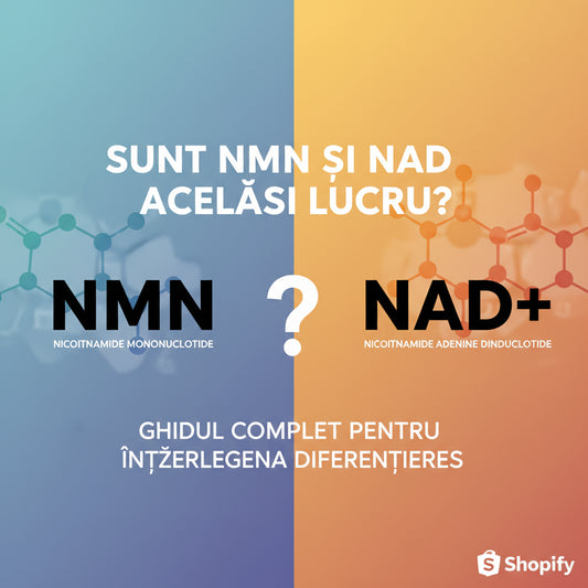 Sunt NMN și NAD Același Lucru? Ghidul Complet pentru Înțelegerea Diferențelor