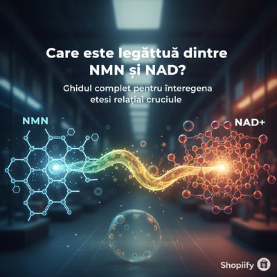 Care este legătura dintre NMN și NAD? Ghidul complet pentru înțelegerea acestei relații cruciale