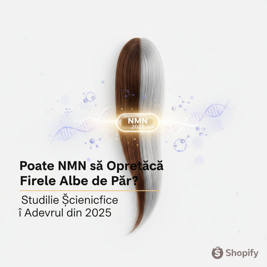 Poate NMN să Oprească Firele Albe de Păr? Studiile Științifice și Adevărul din 2025