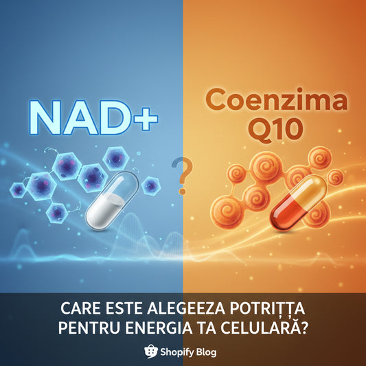 NAD+ sau Coenzima Q10: Care Este Alegerea Potrivită Pentru Energia Ta Celulară?