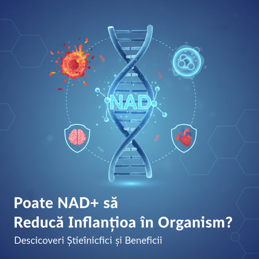 Poate NAD+ să Reducă Inflamația în Organism? Descoperiri Științifice și Beneficii