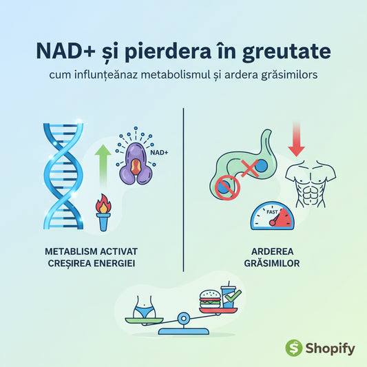 NAD+ și pierderea în greutate: cum influențează metabolismul și arderea grăsimilor