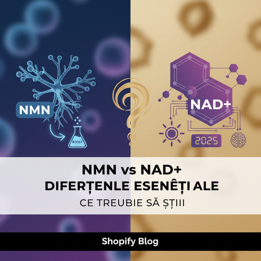 NMN vs NAD+: Diferențele Esențiale și Ce Trebuie să Știi în 2025