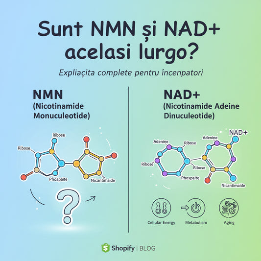 Sunt NMN și NAD același lucru? Explicația completă pentru începători