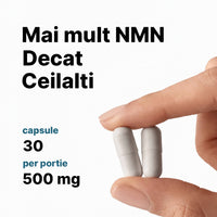 Vivencia NMN Pro Liposomal 500mg 30 Capsule – Nicotinamidă Mononucleotidă