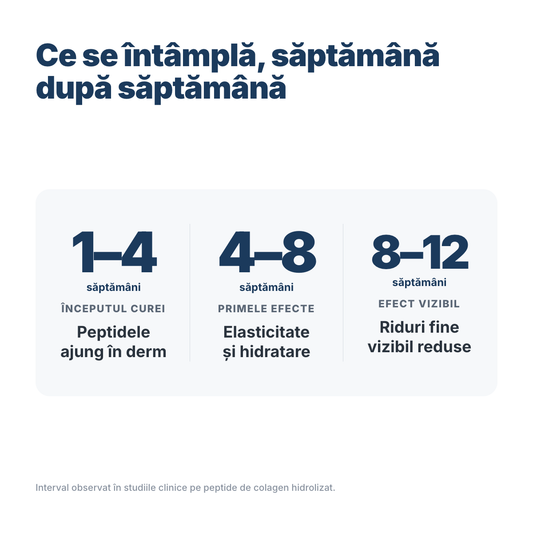 Colagen marin Vivencia săptămână după săptămână: 1-4 peptidele ajung în derm, 4-8 elasticitate și hidratare, 8-12 riduri fine vizibil reduse