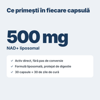 500 mg NAD+ liposomal per capsulă, activ direct fără pas de conversie, protejat de digestie, 30 capsule pentru 30 de zile