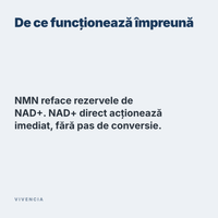 De ce funcționează împreună: NMN reface rezervele de NAD+, iar NAD+ direct acționează imediat, fără pas de conversie