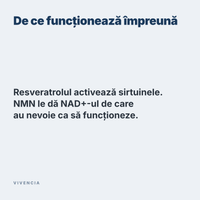 De ce funcționează împreună: resveratrolul activează sirtuinele, iar NMN le dă NAD+-ul de care au nevoie