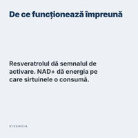De ce funcționează împreună: resveratrolul dă semnalul de activare, NAD+ dă energia pe care sirtuinele o consumă