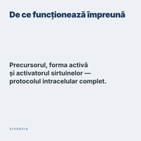 De ce funcționează împreună: precursorul, forma activă și activatorul sirtuinelor — protocolul intracelular complet
